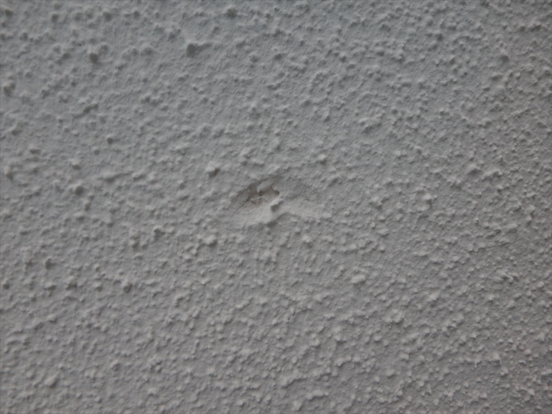 最終チェックの際に見つけた壁のへこみ。今回の塗装の膜で保護はできていますが、見栄えのため補修することになりました。